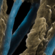 Illustration for article titled The seafloor is home to a vast electrical network created by bacteria